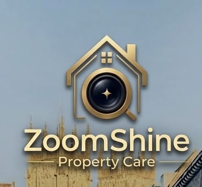ZoomShine logo